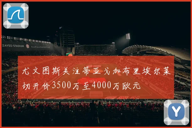 尤文图斯关注蒂亚戈加布里埃尔莱切开价3500万至4000万欧元